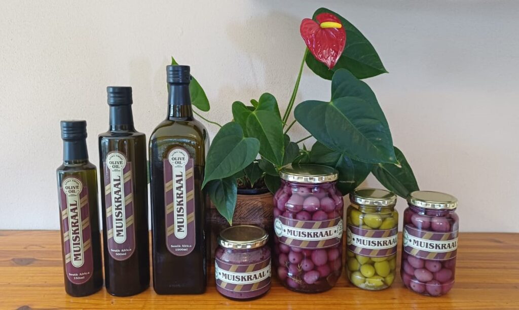 whatsapp image 2025 08 28 at 15.53.45